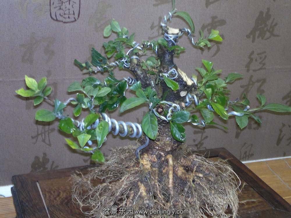 2014-09-17-1105.jpg