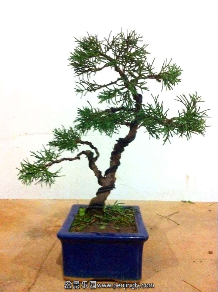 QQͼƬ20140915211348.jpg