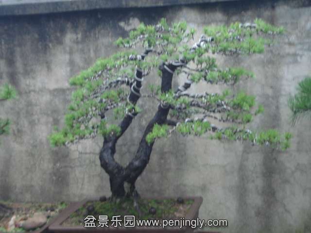 DSC00007.JPG