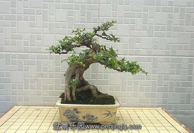 201409181493_.jpg
