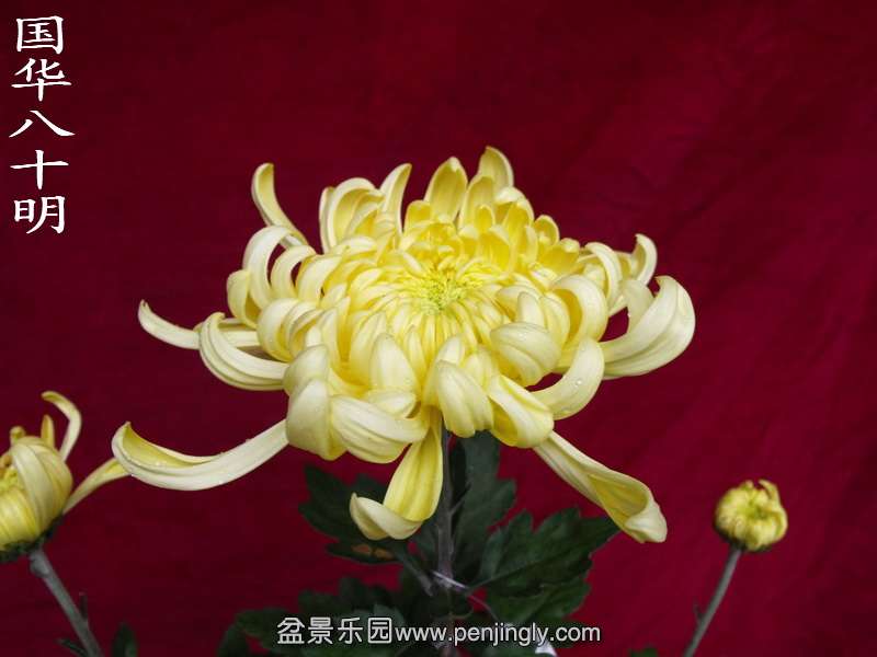 DSCF0176.jpg