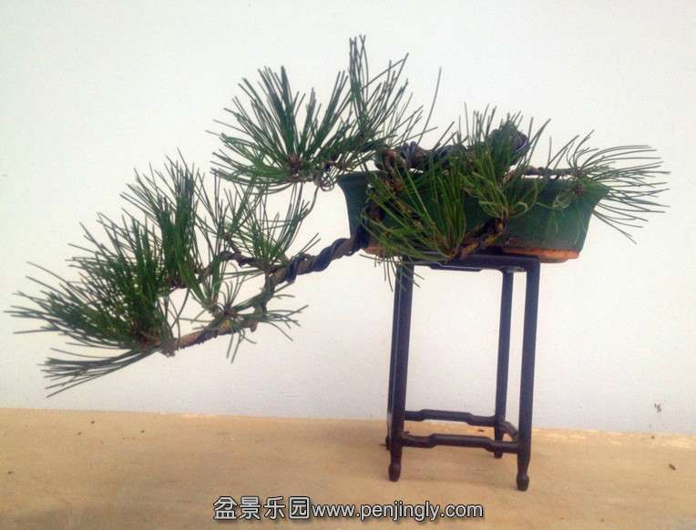 QQ图片20140915211344.jpg