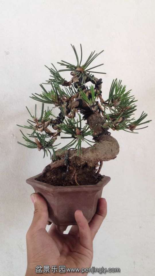 QQͼƬ20140921134328.jpg