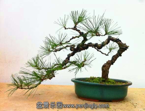 QQͼƬ20140918203123.jpg