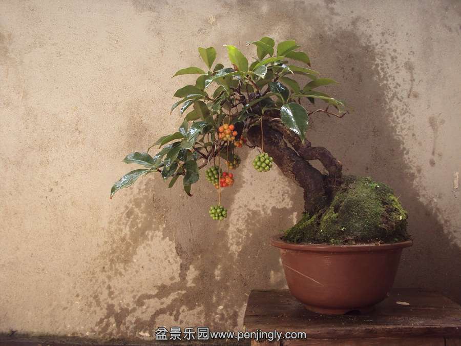 DSC03980.JPG