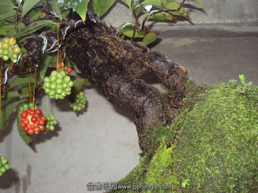 DSC03946.JPG