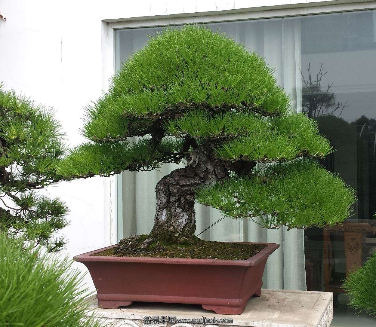 20140905_105543.jpg