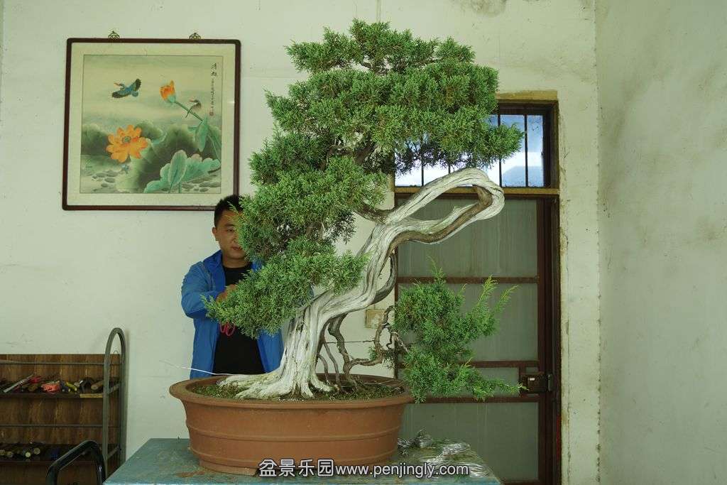 373.jpg