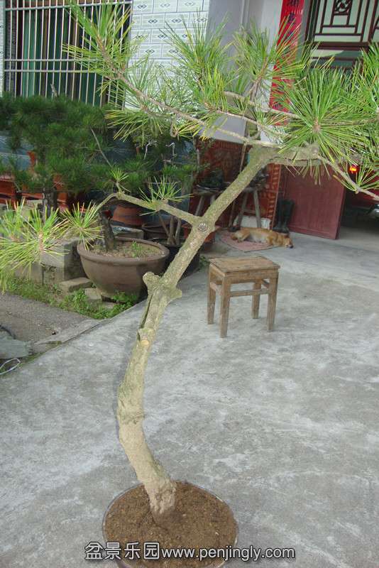DSC02722_.jpg