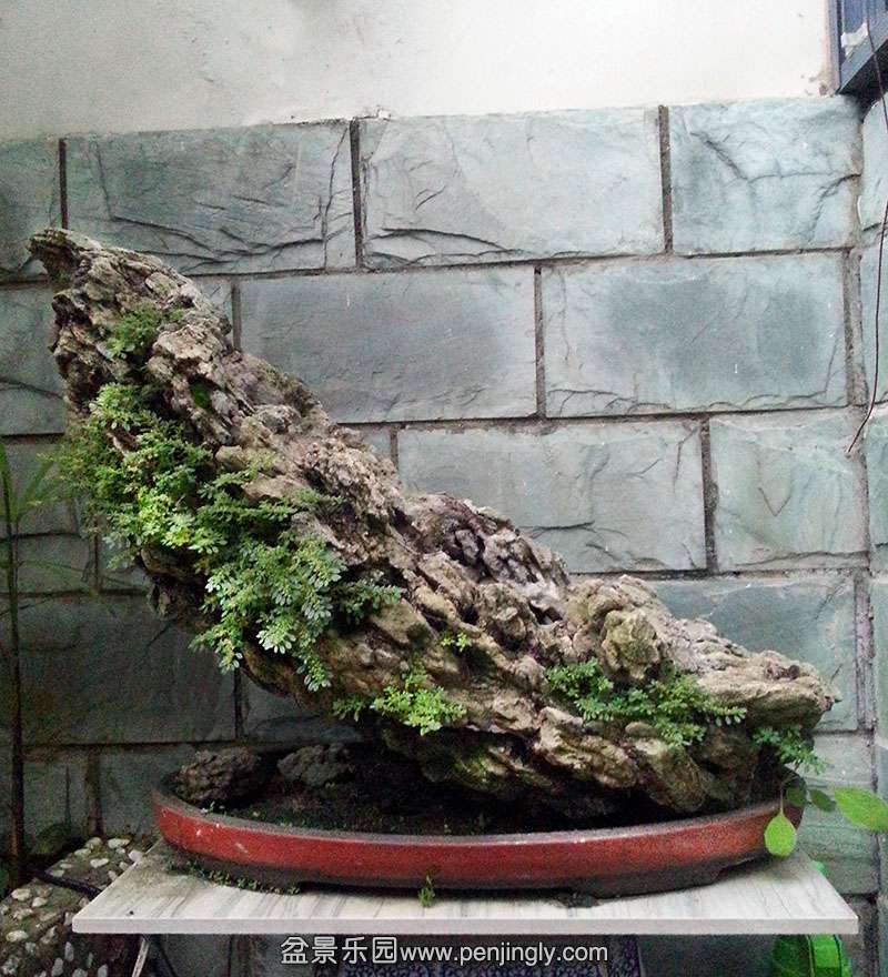 20140913_185414.jpg