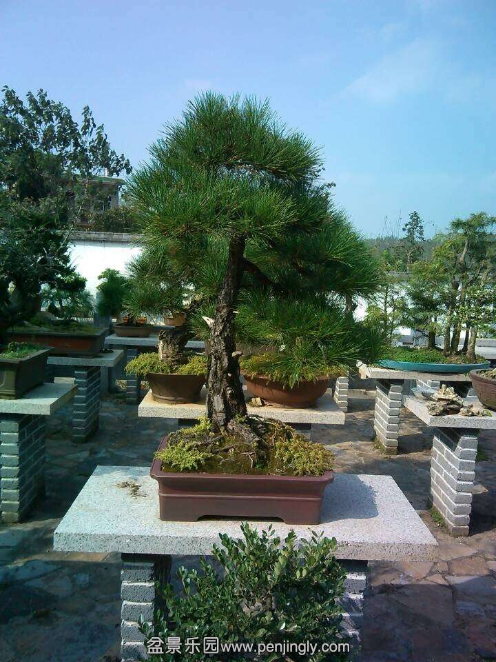 QQͼƬ20140924152420.jpg