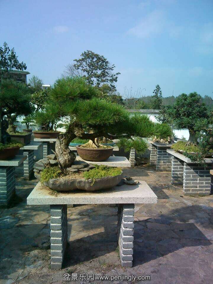 QQͼƬ20140924152523.jpg
