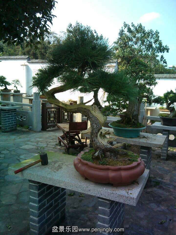 QQͼƬ20140924152513.jpg