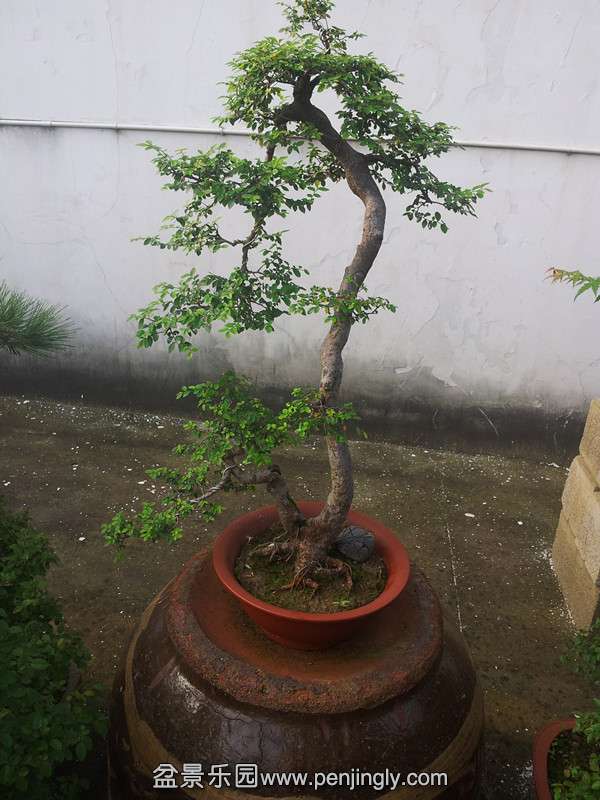 20140904_072125_.jpg