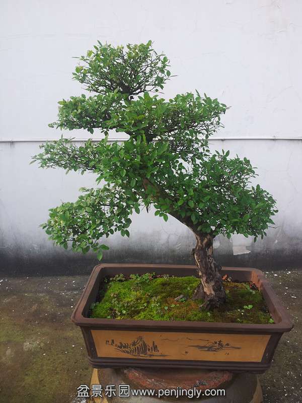 20140904_072145_.jpg
