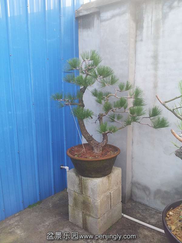 20140904_072156_.jpg