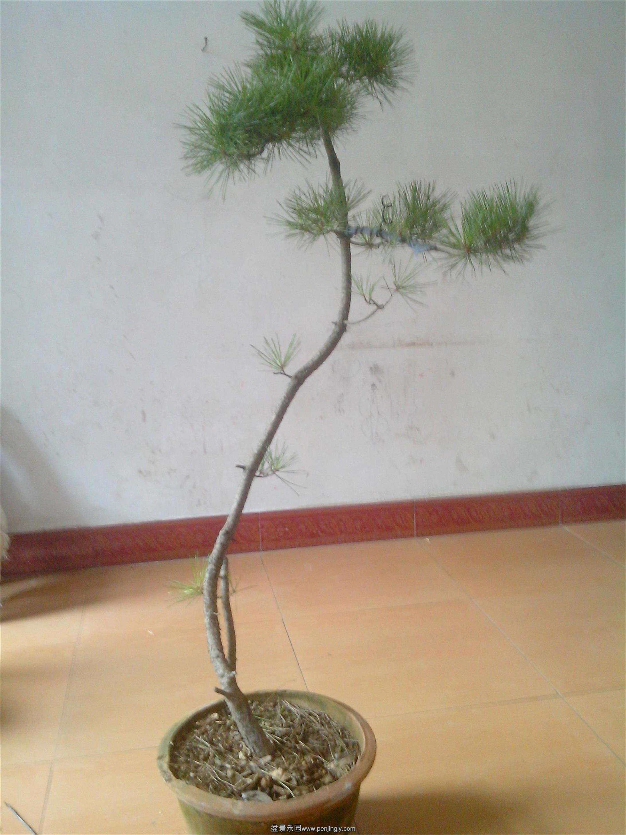 IMG20140820001.jpg