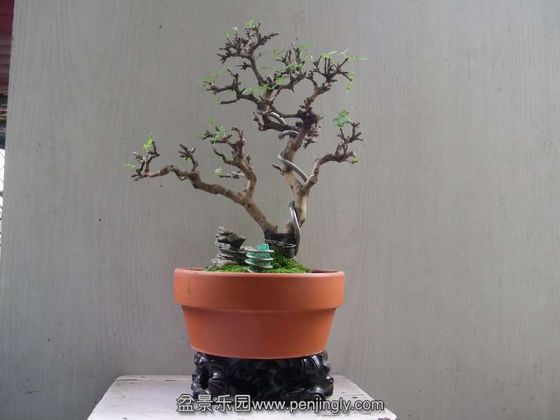 DSCN3745.JPG