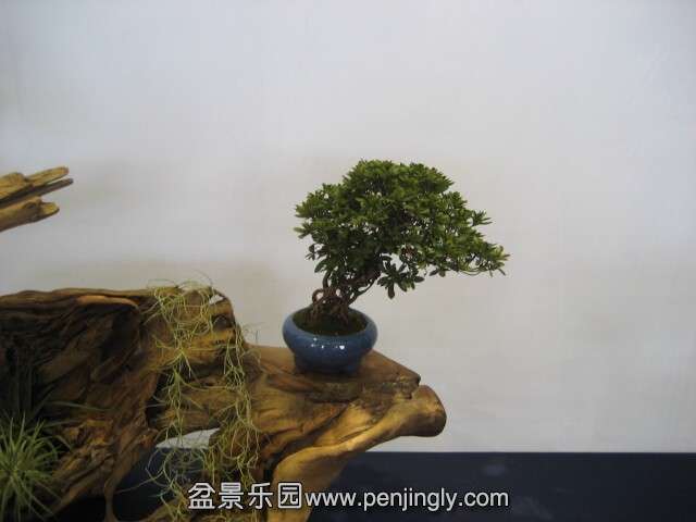 QQͼƬ20140928213915.jpg