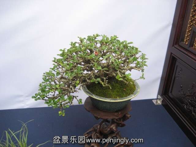 QQͼƬ20140928213940.jpg