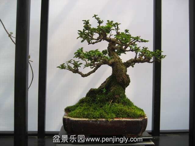 QQͼƬ20140928214533.jpg
