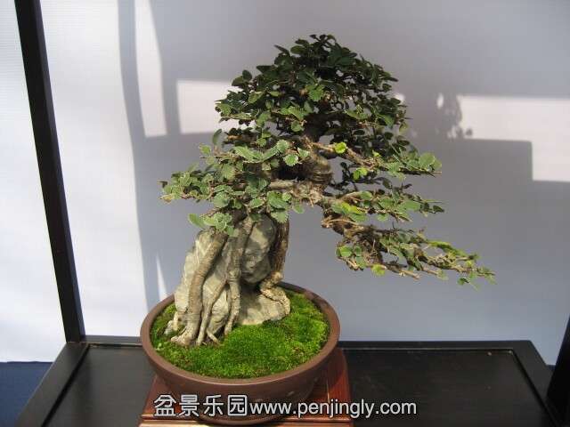 QQͼƬ20140928214636.jpg