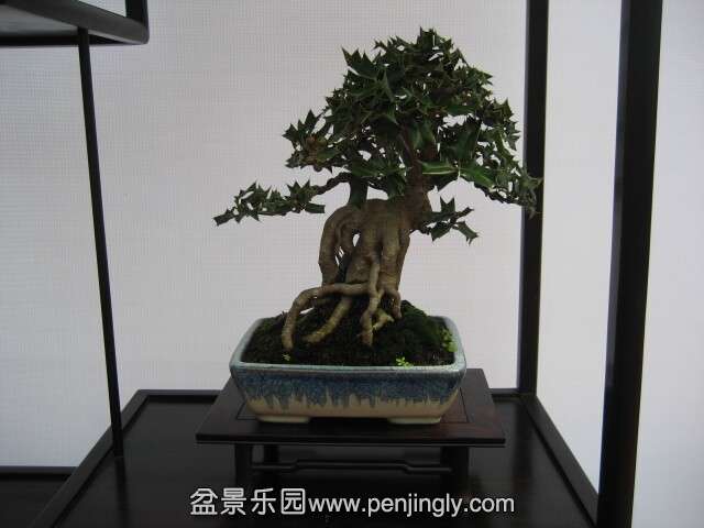 QQͼƬ20140928214746.jpg