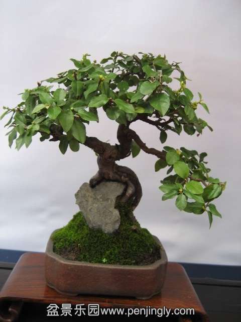 QQͼƬ20140928215133.jpg