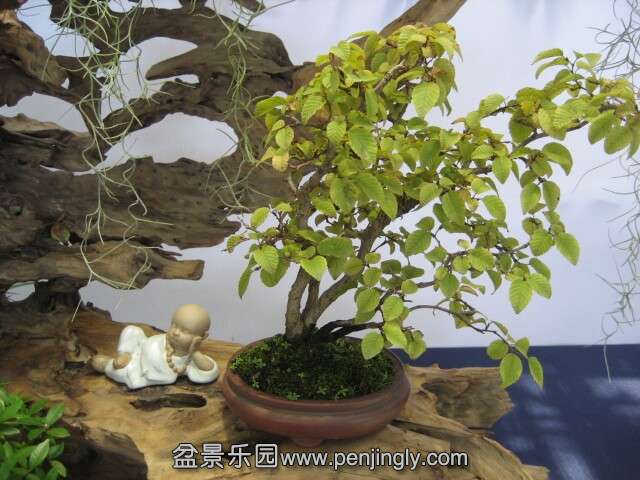 QQͼƬ20140928213924.jpg