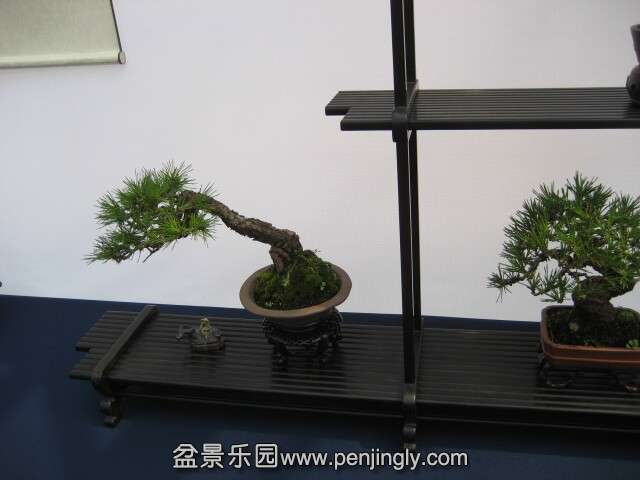 QQͼƬ20140928214112.jpg