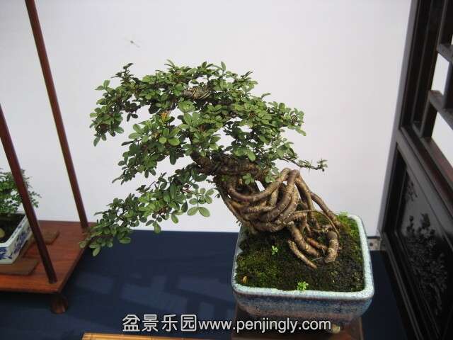 QQͼƬ20140928214805.jpg