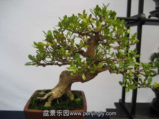 QQͼƬ20140928214844.jpg