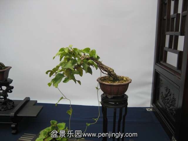 QQͼƬ20140928214917.jpg