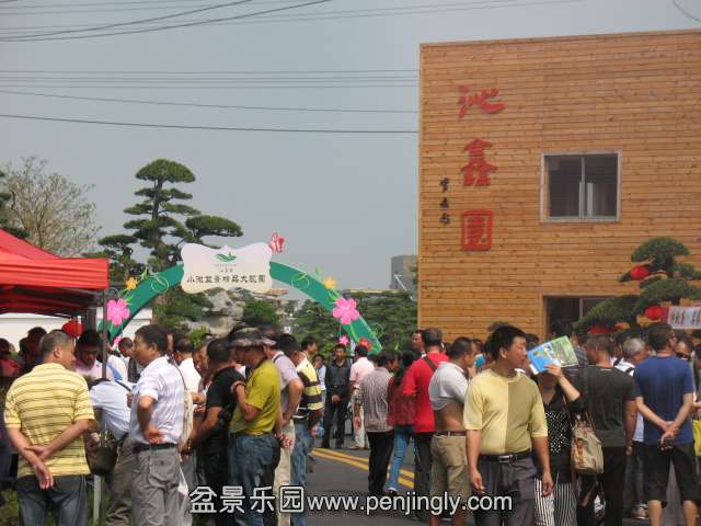 IMG_8192.JPG