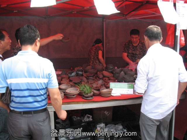 IMG_8203.JPG
