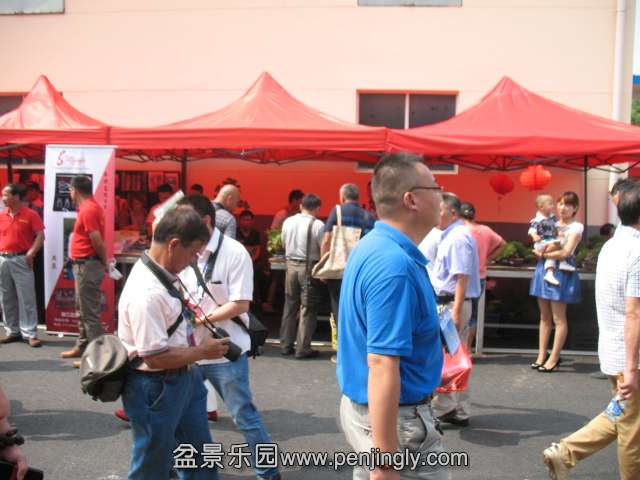 IMG_8208.JPG