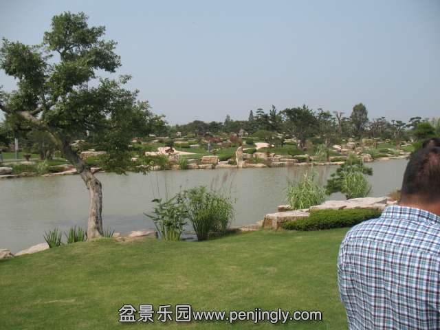 IMG_8223.JPG