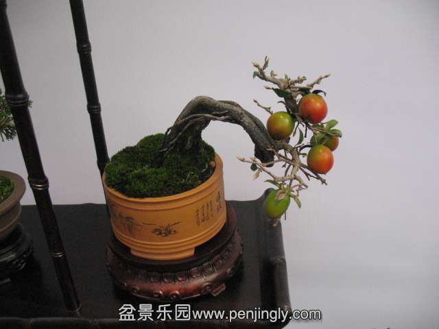IMG_8288.JPG