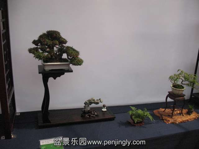 IMG_8295.JPG