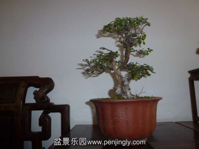 P1050752.JPG