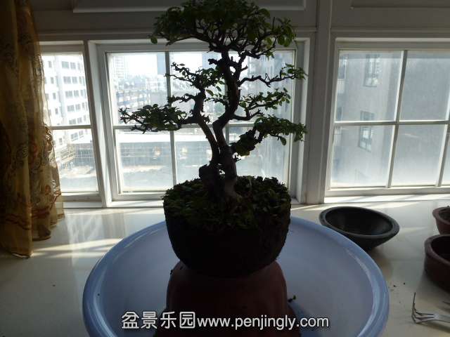 P1050753.JPG