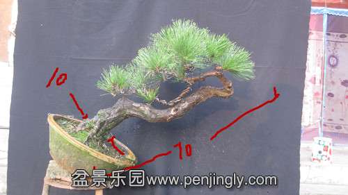 IMG_7974_.jpg