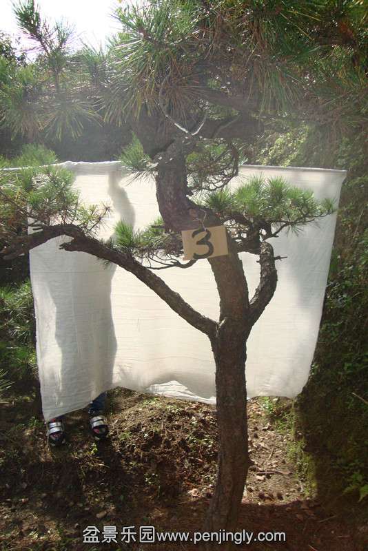 DSC02755_.jpg