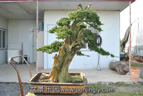 QQͼƬ20141005080714.jpg