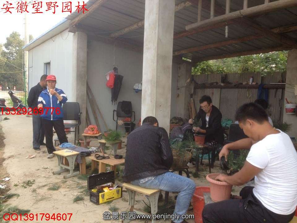 1AC3E03EBDEB3AEBBB8B4050D0DE358E.jpg