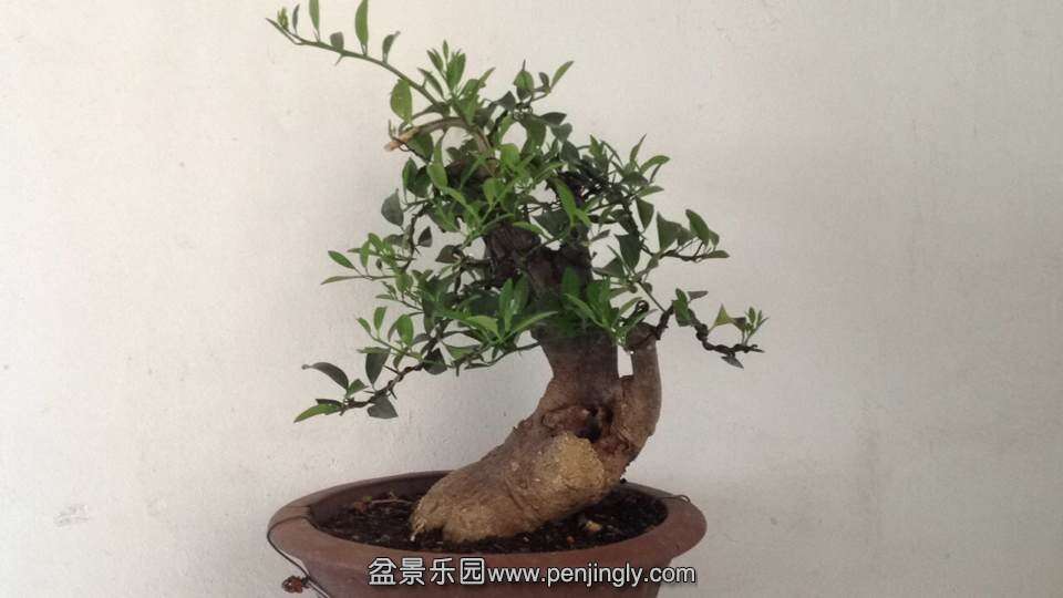 QQͼƬ20141006104938.jpg