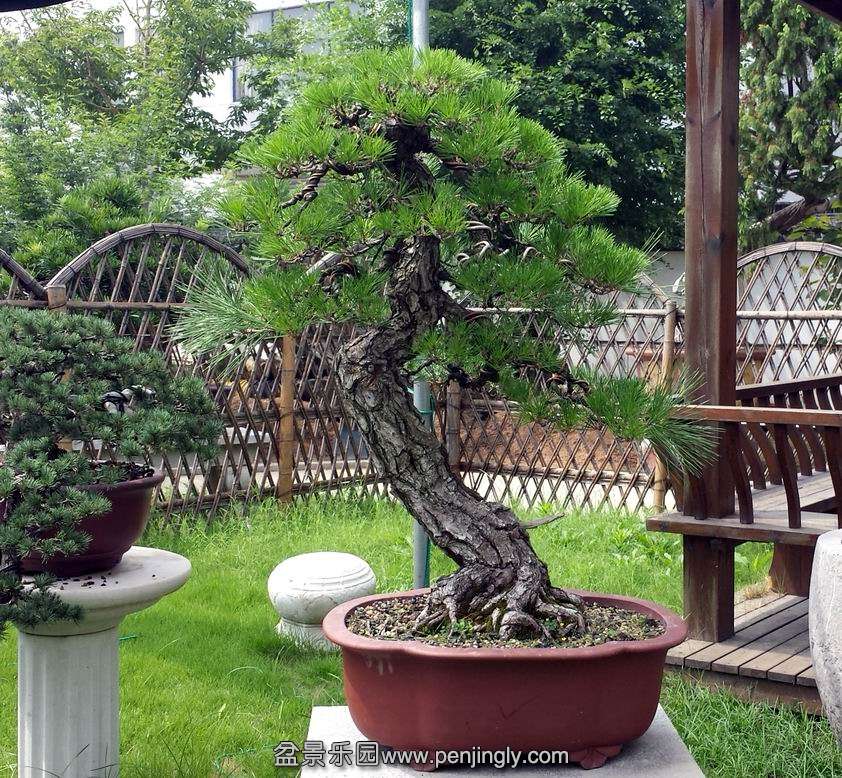 20140905_105705.jpg