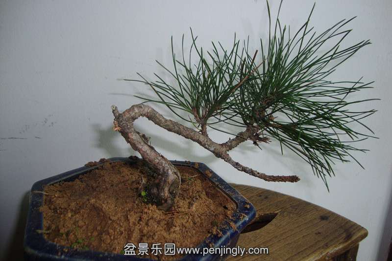 DSC02900_.jpg