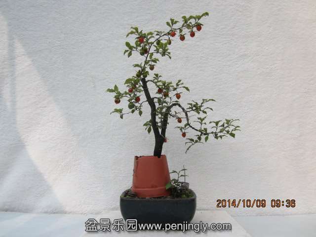 IMG_5678.JPG