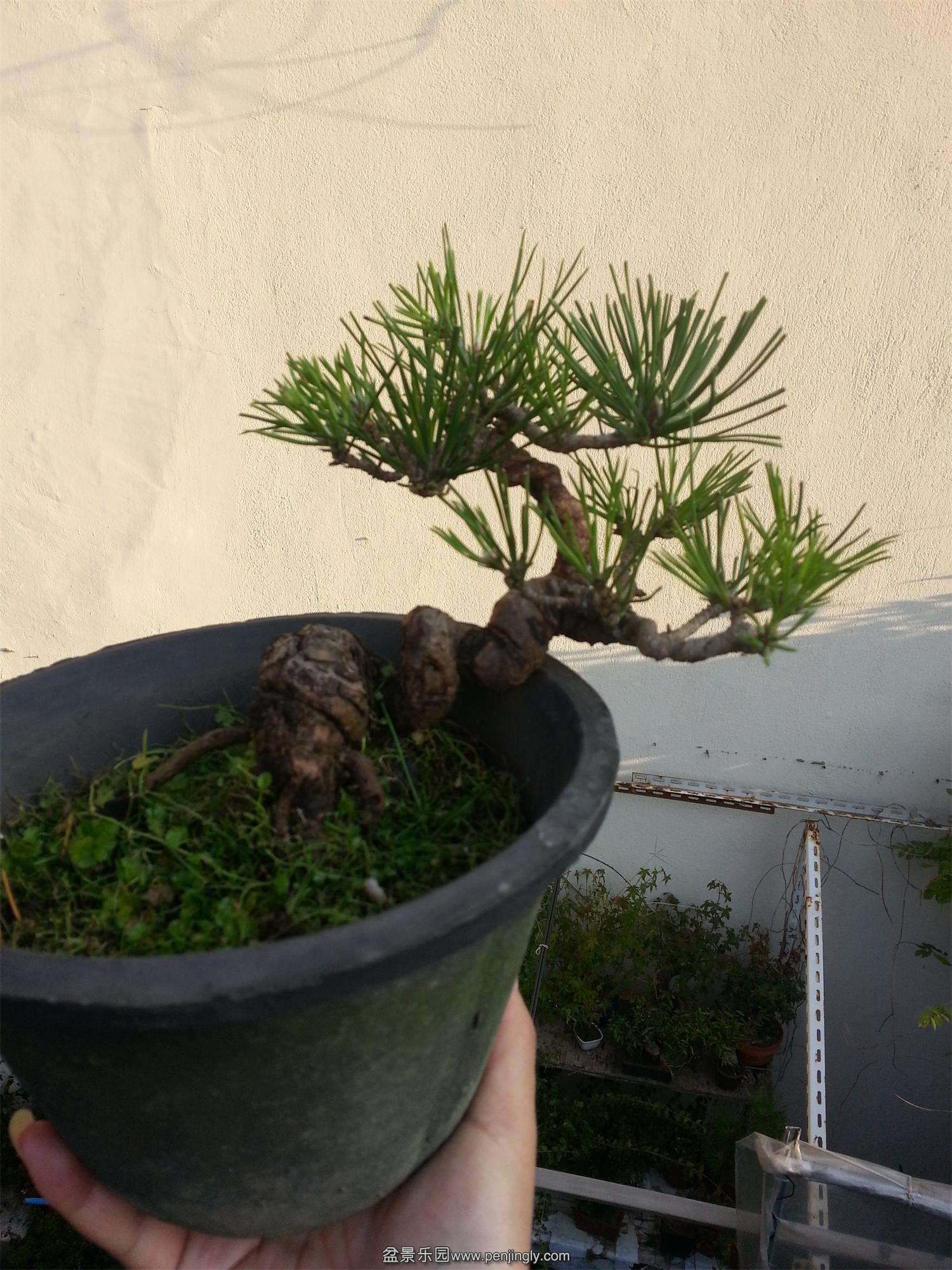 20141009_065751.jpg